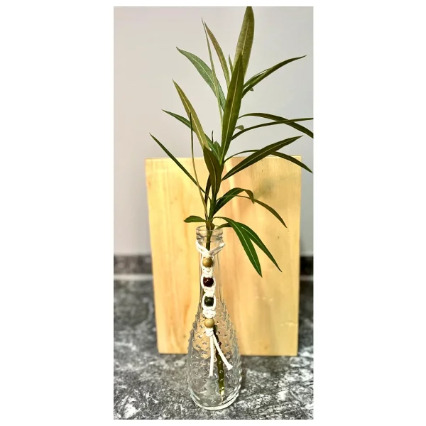 Missi 26 cm Ince Cam Vazo - Çiçek - Görsel 4