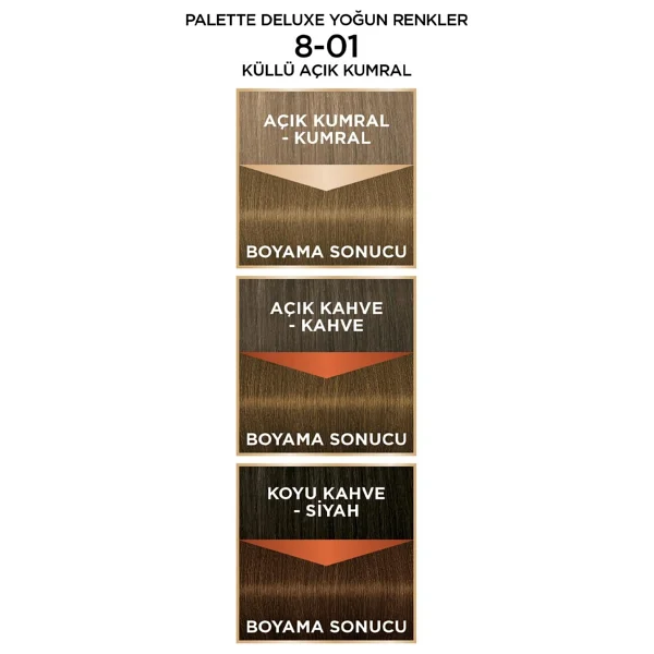 Palette Deluxe 8.01 Küllü Açık Kumral Saç Boyası - Görsel 6