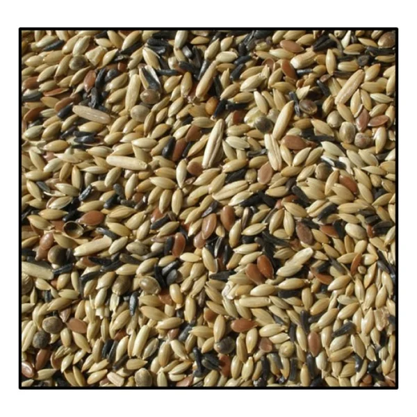 Badem Akvaryum Karışık Kanarya Yemi 5 kg Açık - Görsel 2