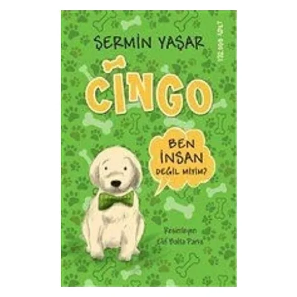 Cingo - Şermin Yaşar - Görsel 3