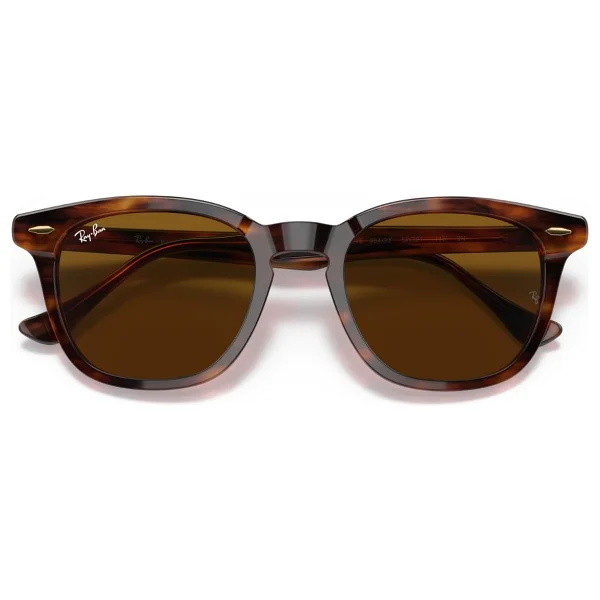 Ray-Ban Hawkeye 2298 954/33 Striped Havana-Brown Güneş Gözlüğü - Görsel 5