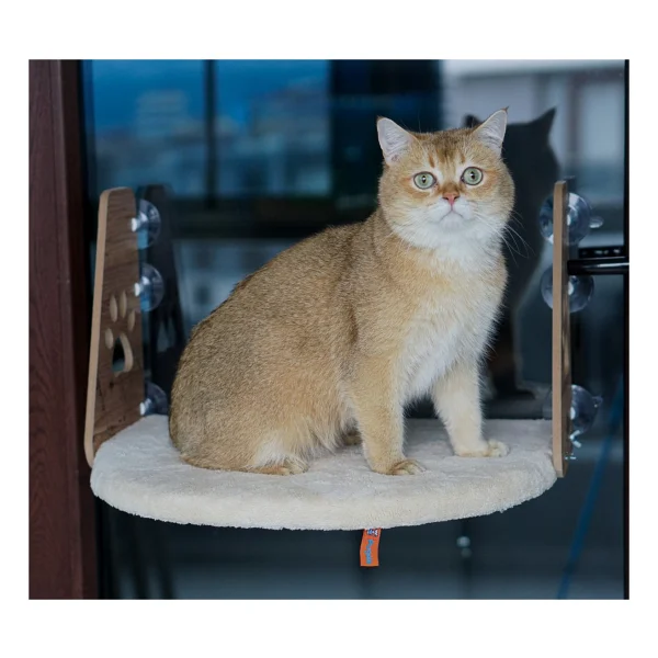Pugalo Vantuzlu Kedi Cam Yatağı - Krem - Görsel 8