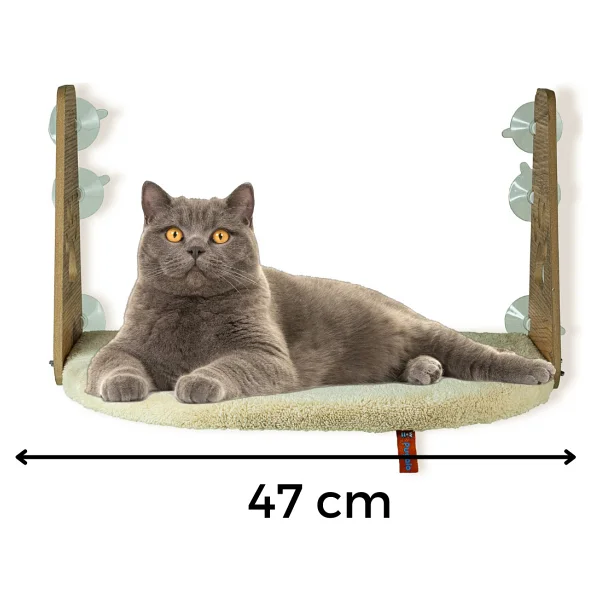 Pugalo Vantuzlu Kedi Cam Yatağı - Krem - Görsel 4