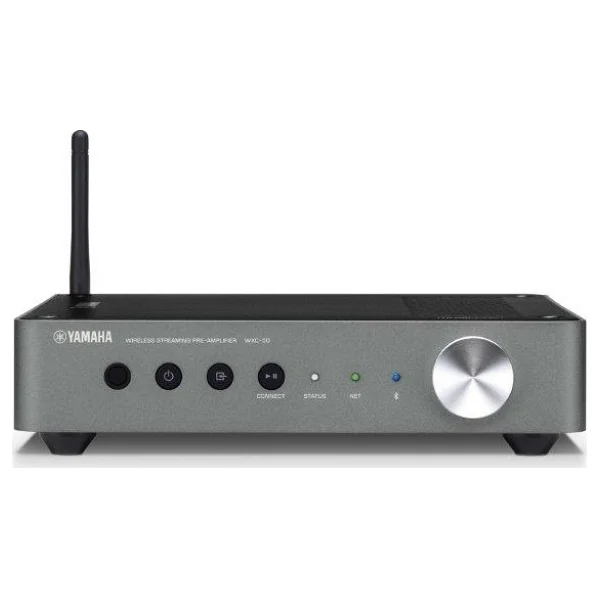 Yamaha MusicCast WXC-50 Network Amplifikatör - Görsel 4