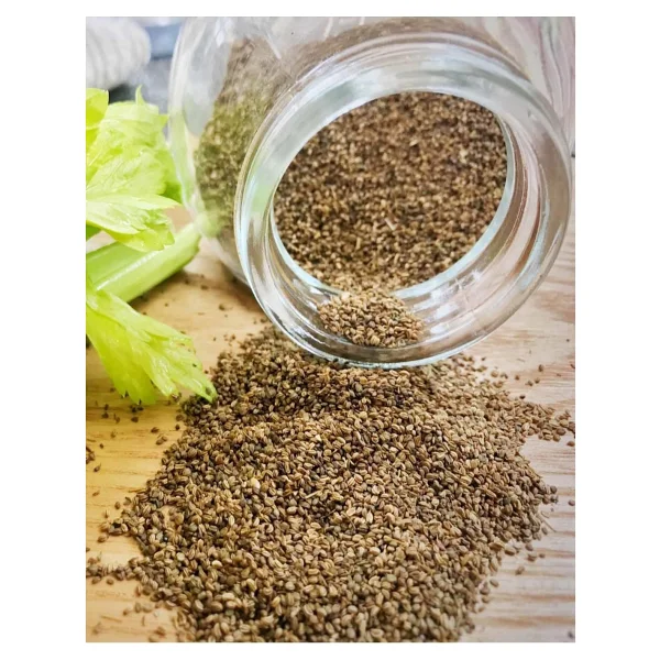 Organik Bitkim Kereviz Tohumu 150 gr - Görsel 3