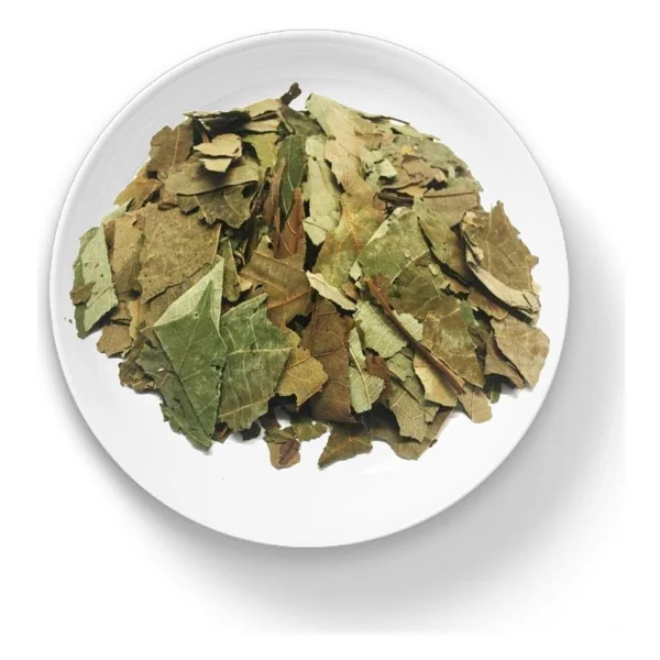 Organik Bitkim Avokado Yaprağı 1 kg - Görsel 5