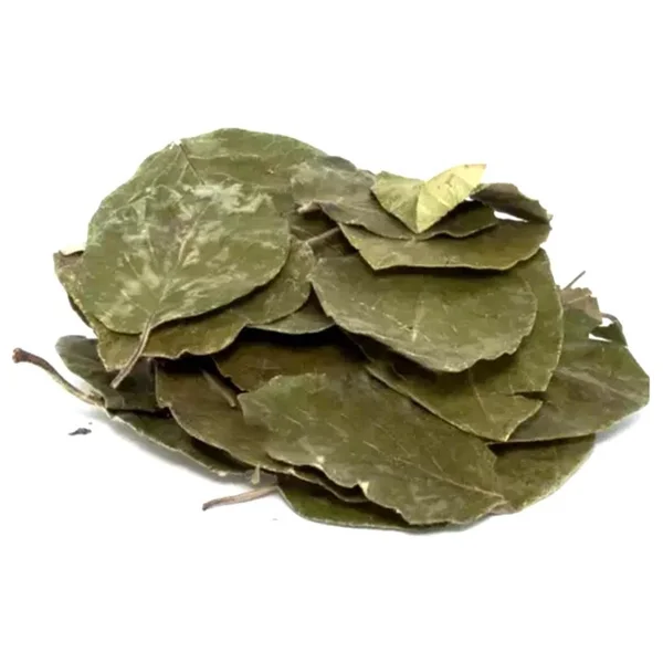 Organik Bitkim Avokado Yaprağı 1 kg - Görsel 6