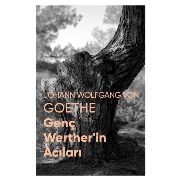 Genç Werther'in Acıları - Johann Wolfgang Von Goethe Can Yayınları - Görsel 2