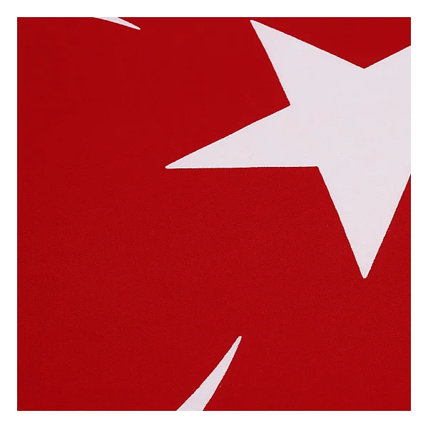 Buket Türk Bayrağı Raşel 300 x 450 Bkt-127 - 300 x 450 cm - Görsel 2
