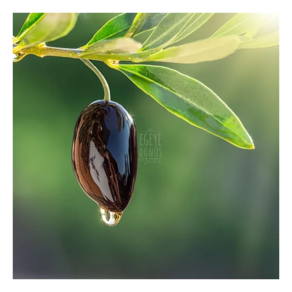 Egeye Dönüş Naturel Sızma Zeytinyağı 1 lt Teneke - Görsel 3