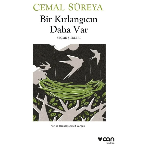 Bir Kırlangıcın Daha Var - Cemal Süreya - Görsel 2
