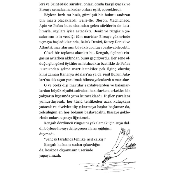 Martıya Uçmayı Öğreten Kedi - Luis Sepulveda - Görsel 6