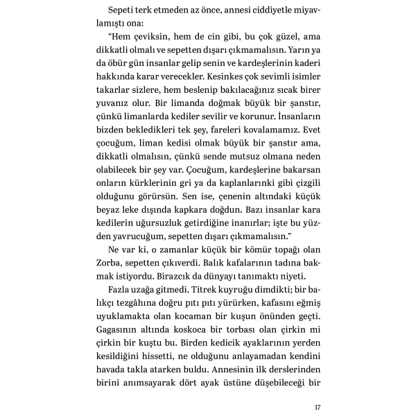 Martıya Uçmayı Öğreten Kedi - Luis Sepulveda - Görsel 10
