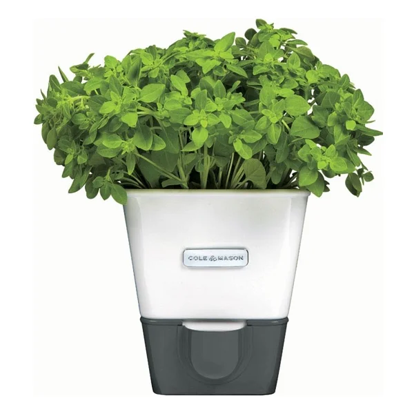 Cole & Mason H105249 Yeşillik Saklama Kabı - Görsel 4