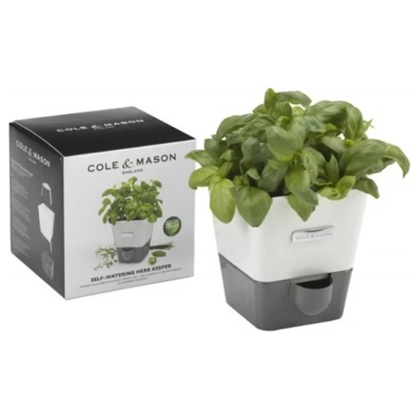 Cole & Mason H105249 Yeşillik Saklama Kabı - Görsel 3