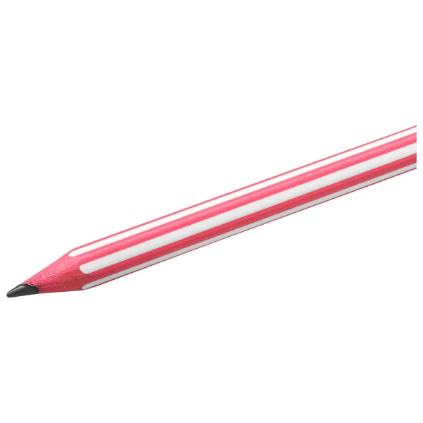 Bic Evolution Stripes 12'li Kurşun Kalem - Görsel 3
