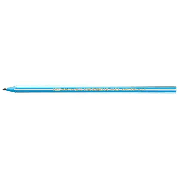 Bic Evolution Stripes 12'li Kurşun Kalem - Görsel 4