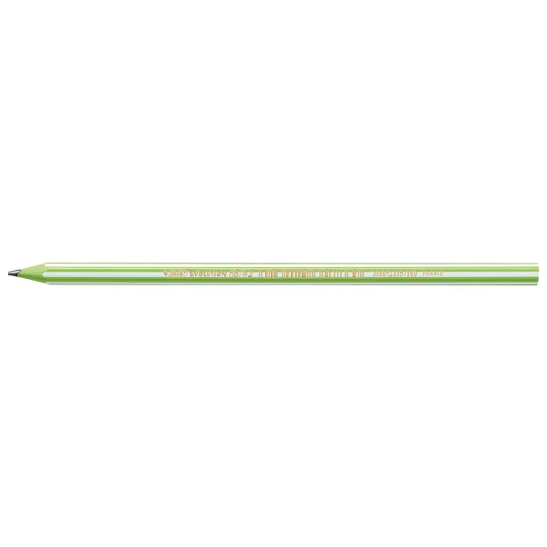 Bic Evolution Stripes 12'li Kurşun Kalem - Görsel 6
