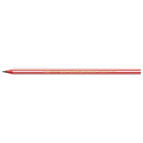 Bic Evolution Stripes 12'li Kurşun Kalem - Görsel 7