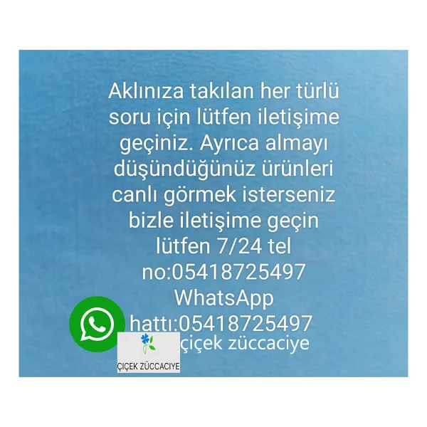 Nehir Lalezar Altın Sade 60 Parça 12 Kişilik Çatal Kaşık Takımı - Görsel 5