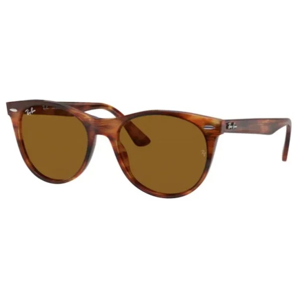 Ray-Ban Wayfarer II 2185 Güneş Gözlüğü - Görsel 2
