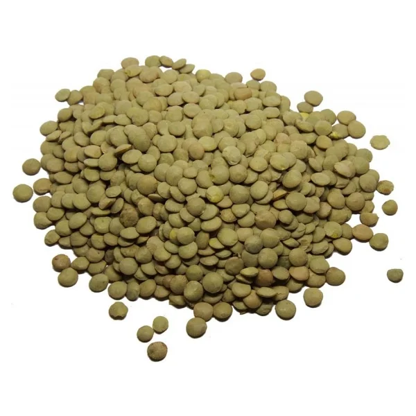 Tat Köy Tipi Yeşil Mercimek 1 kg - Görsel 2