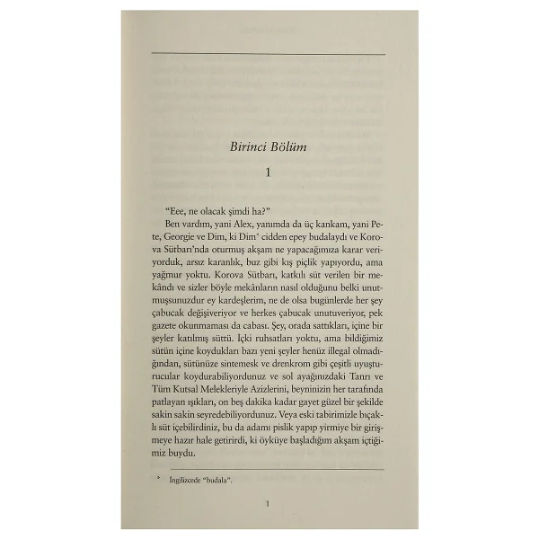 Otomatik Portakal - Anthony Burgess - Görsel 5