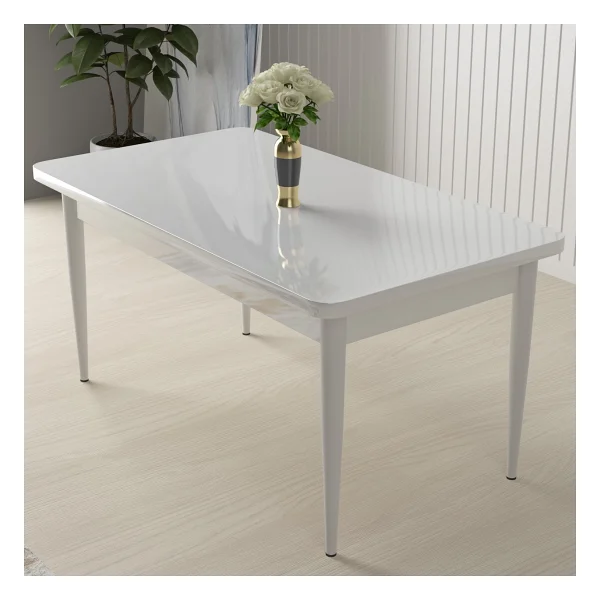Canisa Concept Nil Serisi, Beyaz Masa 70X110 Sabit Yemek Masası Takımı, 4 Sandalye - Siyah - Görsel 2