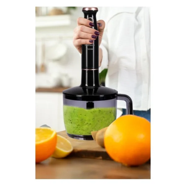 Goldmaster GM-7273 Bestmax Siyah Gold 1500 W Blender Seti - Görsel 3