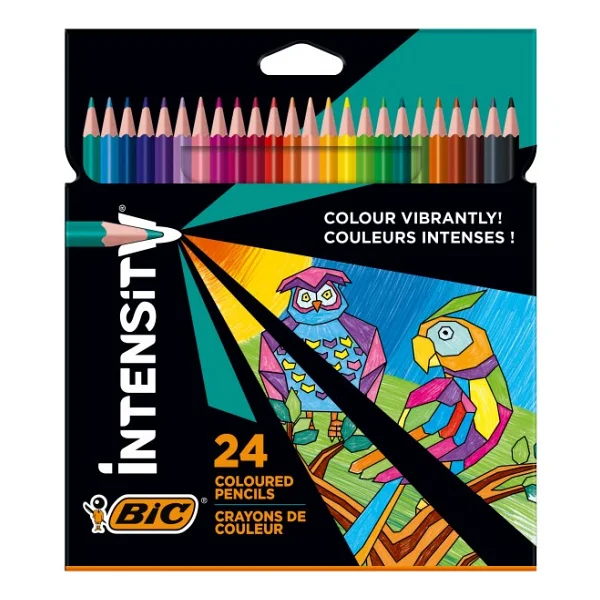 Bic Color Up 24'lü Kuru Boya Seti - Görsel 9