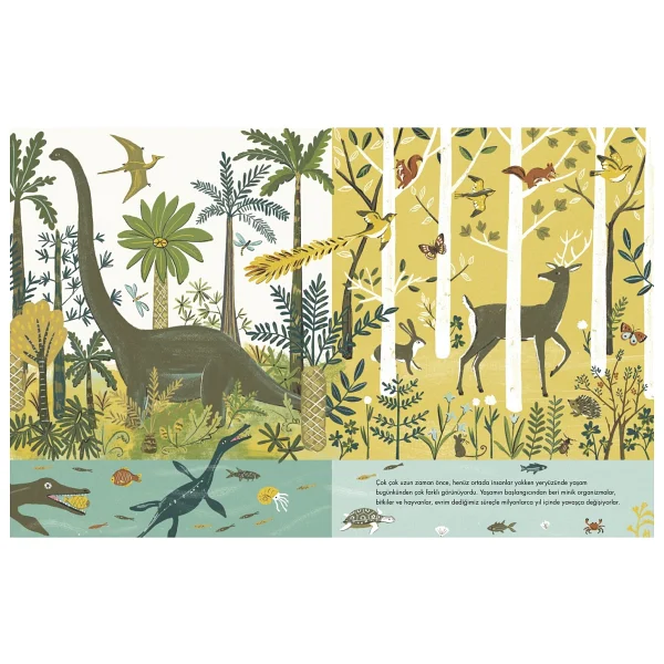 Türlerin Kökeni - Charles Darwin - Görsel 3
