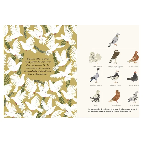 Türlerin Kökeni - Charles Darwin - Görsel 4