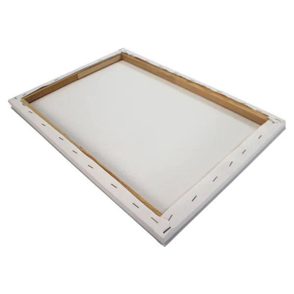 Ezeltuval Öğrenci Tipi Sanatsal Tuval 80 x 120 cm - Beyaz - Görsel 2