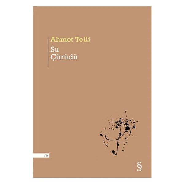 Su Çürüdü - Ahmet Telli - Görsel 2