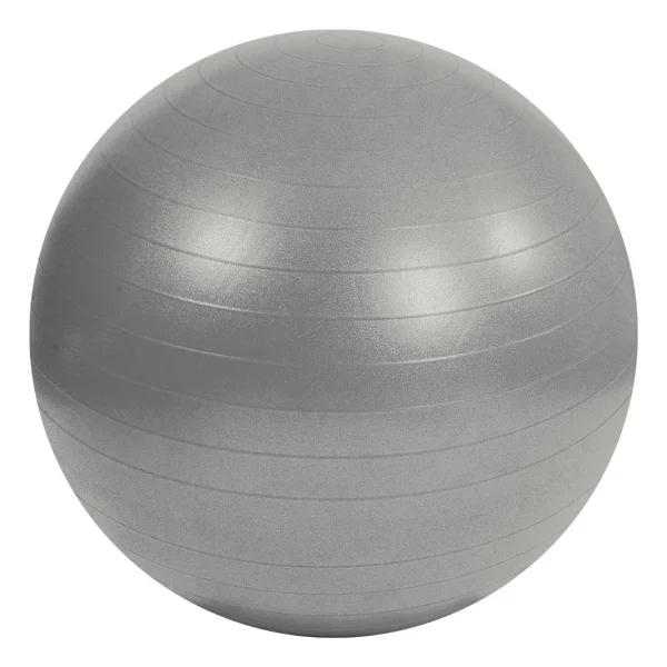 Pilates & Yoga Topu 65 cm Gri Renk - Görsel 3