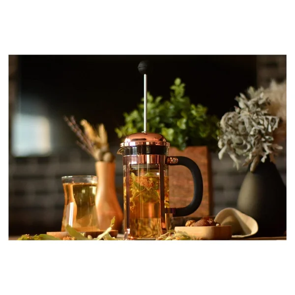 Taşev T2770 Holmes 350 ml French Press - Görsel 2