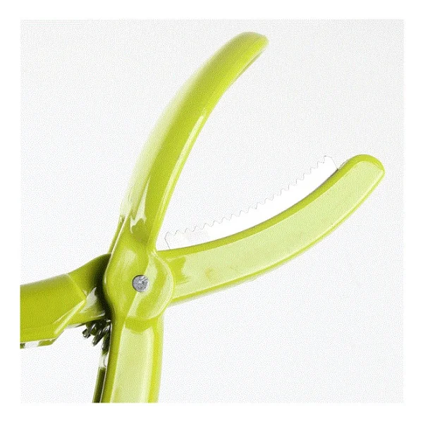 Nokta's Kestane Çizici Chesnut Cutter - Görsel 5