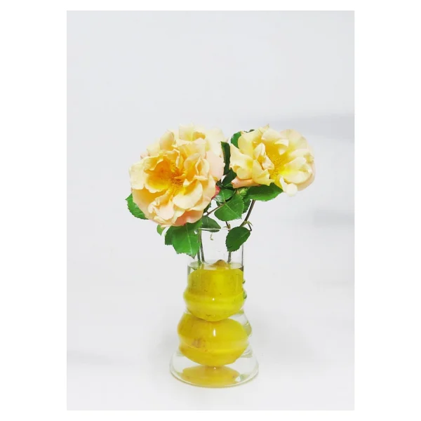 Missi Boğumlu Üfleme Cam Vazo (17 Cm) - Çiçek - Görsel 4