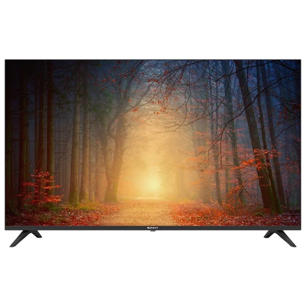 Sunny SN50FMN602 4K Ultra HD 50" 127 Ekran Uydu Alıcılı Smart LED TV - Görsel 6
