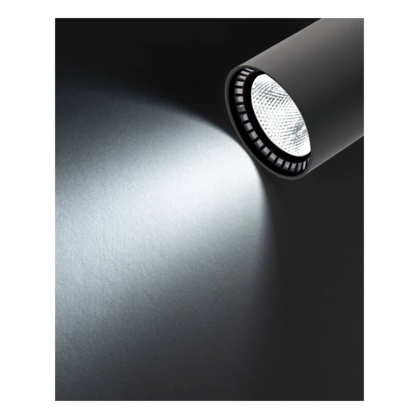 Noas YL29-3101 Paris 30 W Siyah Kasa Led Ray Spot - Görsel 3
