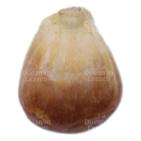 Doğan'ın Lezzeti Kavurga Mısır 1 KG - Görsel 5