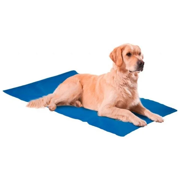 Nunbell Serinleticili Köpek Yatağı 4X-Large - Görsel 2