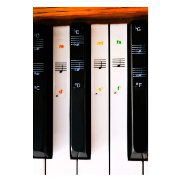 happypotam renkli piyano org klavye tuşları için nota sticker etiketi aksesuarı 37-49-54-61-88 tuşlara uygun - Görsel 3