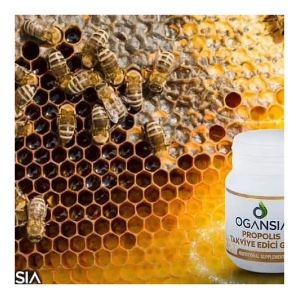 Ogansia Propolis 60 Tablet - Görsel 2