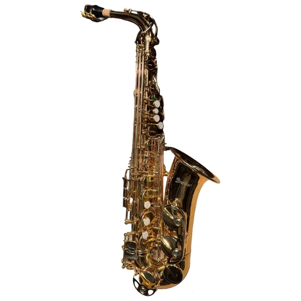 Brahner Alto Saksafon - Görsel 3