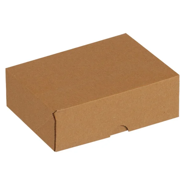 Packanya 17x8x5,5-100 Adet Kesimli Kutu - İnternet ve Kargo Kutusu - Görsel 2