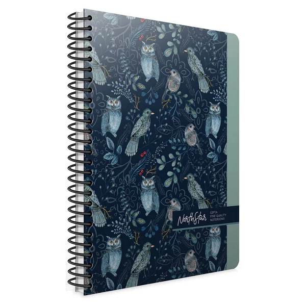 Gıpta North Star Spiralli Sert Kapak 17x24 120 Yaprak Çizgili Defter 5916 - Görsel 3