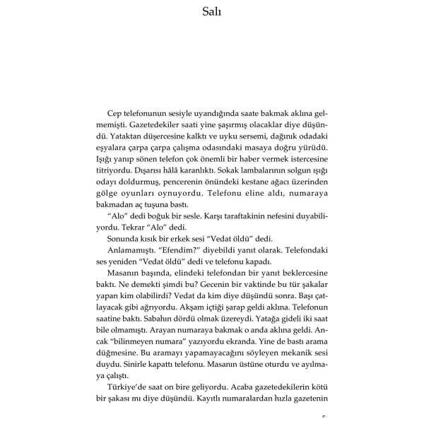 Gazetecinin Ölümü - Elçin Poyrazlar - Görsel 3