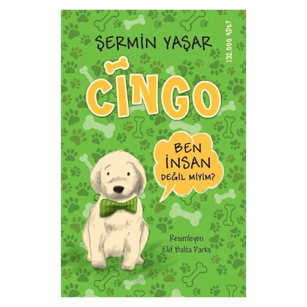 Cingo - Şermin Yaşar - Görsel 2