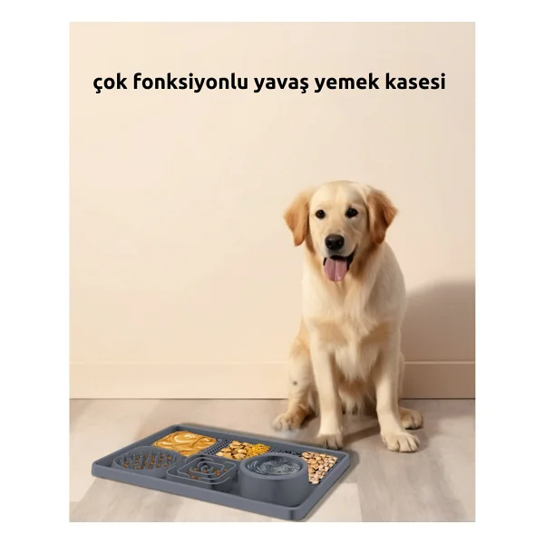 Raikou Köpek Maması Hasırı - Görsel 4